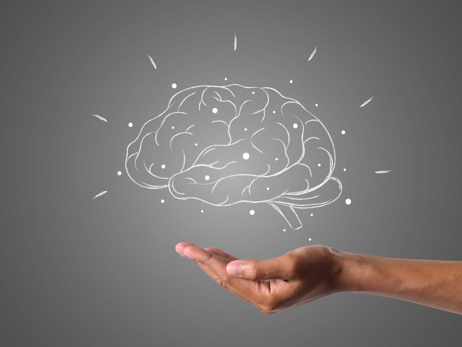 Ihre prämierte Webagentur in Rhein-Erft für erfolgreiches (Neuro) Webdesign & SEO-Strategien für maximale Sichtbarkeit – Webentwicklung trifft Wissenschaft.